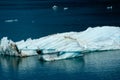 Iceberg floating in Tracy Arm Fjord