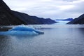Iceberg from a Greenland Glacier