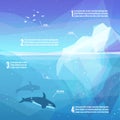 Iceberg infographics