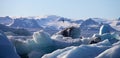 Iceberg Lagoon, Jokulsarlon lake, Iceland Royalty Free Stock Photo