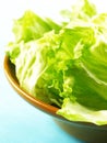 Iceberg lettuce