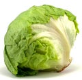 Iceberg lettuce Royalty Free Stock Photo
