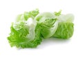 Iceberg lettuce cabbage Royalty Free Stock Photo