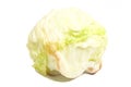 iceberg lettuce cabbage isolated on white background Royalty Free Stock Photo