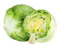 Iceberg lettuce cabbage isolated on white Royalty Free Stock Photo