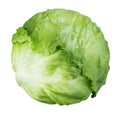 Iceberg lettuce cabbage isolated on white Royalty Free Stock Photo