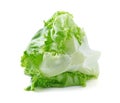 Iceberg lettuce cabbage Royalty Free Stock Photo