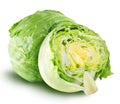 Iceberg lettuce cabbage on white Royalty Free Stock Photo