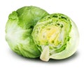 Iceberg lettuce cabbage on white Royalty Free Stock Photo