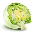 Iceberg lettuce cabbage on white Royalty Free Stock Photo