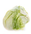 Iceberg lettuce in studio Royalty Free Stock Photo