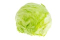 Iceberg lettuce head isolated on white background. Royalty Free Stock Photo