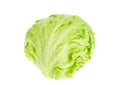 Iceberg lettuce head isolated on white background.