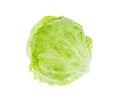 Iceberg lettuce head isolated on white background. Royalty Free Stock Photo