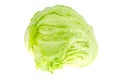 Iceberg lettuce head isolated on white background. Royalty Free Stock Photo