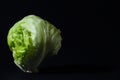 Iceberg lettuce leaf head.