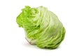 Iceberg lettuce, leafy green vegetable isolated on white background Royalty Free Stock Photo