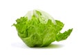 Iceberg lettuce, leafy green vegetable isolated on white background Royalty Free Stock Photo