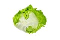 Iceberg lettuce, leafy green vegetable isolated on white background Royalty Free Stock Photo