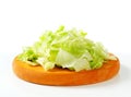 Iceberg lettuce salad Royalty Free Stock Photo