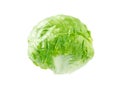 Iceberg lettuce salad head Royalty Free Stock Photo