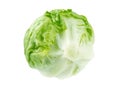 Iceberg lettuce salad head Royalty Free Stock Photo