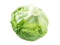 Iceberg lettuce salad head Royalty Free Stock Photo