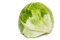 Iceberg Lettuce