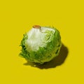 Iceberg lettuce salad on a solid yellow background Royalty Free Stock Photo