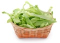 Iceberg lettuce Royalty Free Stock Photo