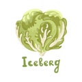 Iceberg lettuce. Vector organic cute food illustration. Good for teaching children the English alphabet with cartoon