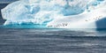 Iceberg with penguins and cormorants. Beautiful blue and turquoise iceberg in Antarctica with many animals. Photo is very sharp.