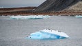 Small shiny iceberg, roosting place for Adelie penguins, in front of Paulet Island, Antarctica.