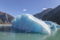 Iceberg from Sawyer glacier in Tracy Arm fjord Royalty Free Stock Photo