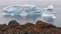 Iceberg and stony coast of Greenland. Red lichen on the shore stones. Nature and landscapes of Greenland. Royalty Free Stock Photo