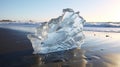 Bold And Graceful: Distorted Ice Piece On Beach