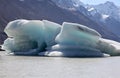 Iceberg - Tasman Lake - New Zealand Royalty Free Stock Photo