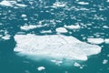 Iceberg from Tracy Arm Fjord in Alaska