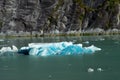 Iceberg at Tracy Arm Fjord