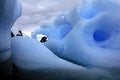 Icebergs in Antactica Royalty Free Stock Photo