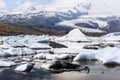 Icebergs in Fjallsarlon glacial lagoon