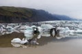 Icebergs in Fjallsarlon glacial lagoon