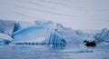 Icebergs floating in the Paradise Bay in Antarctica. Royalty Free Stock Photo