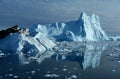 Icebergs in Greenland 12