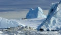 Icebergs in Greenland 13