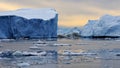 Icebergs in Greenland 1