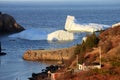 Icebergs in Harbour