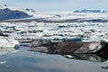 Icebergs in Icelands Joekulsarlon Bay Royalty Free Stock Photo