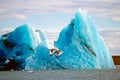 Icebergs, Jokulsarlon, Iceland Royalty Free Stock Photo