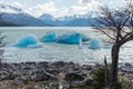 Icebergs on Lago Argentino in Argentina Royalty Free Stock Photo